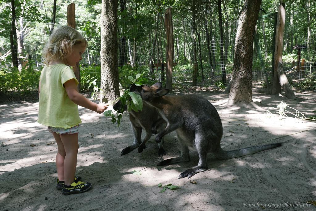 Nyirjes Vendégház Balassagyarmat Esterno foto