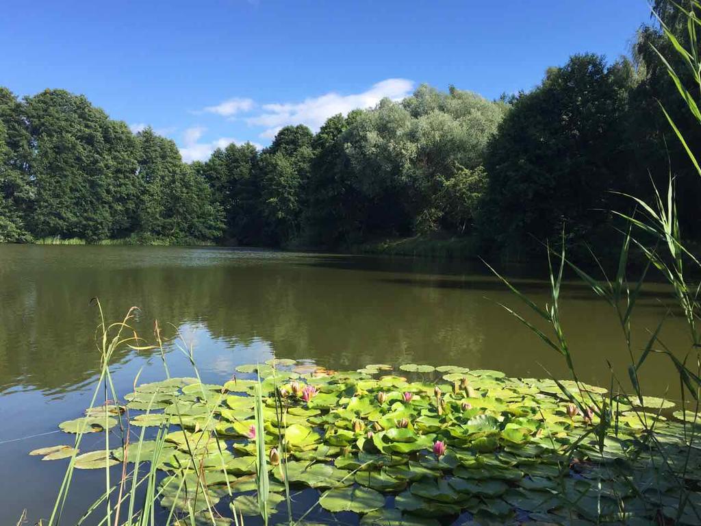 Nyirjes Vendégház Balassagyarmat Esterno foto