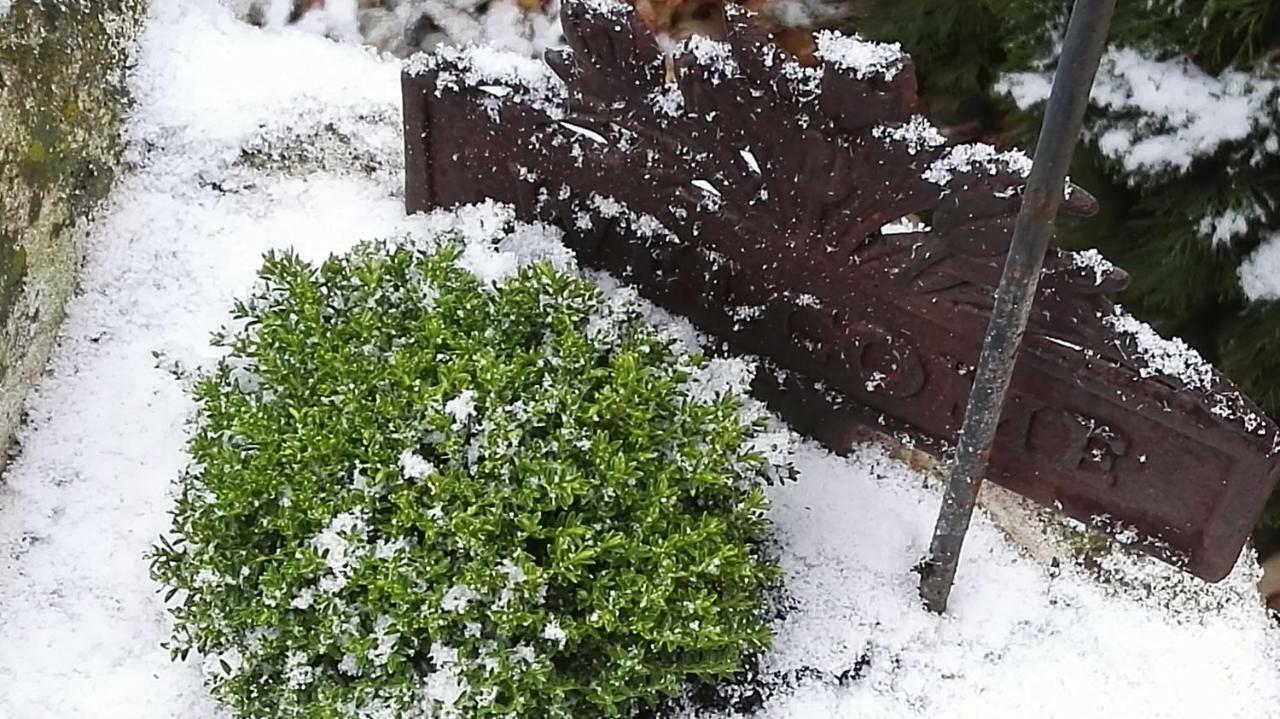 Nyirjes Vendégház Balassagyarmat Esterno foto
